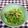 龍青空ママ's cooksnap of when they made 豆苗とキノコのナムル.