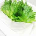 テンちゃん♪'s cooksnap of when they made 大葉を長持ちさせる冷蔵保存方法❀✿.