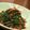 ju_10's cooksnap of when they made サニーレタスのアーモンド味噌和え.
