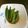 のえもゆ's cooksnap of when they made オクラの胡麻和え.