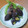 ナニワばば's cooksnap of when they made 干し柿で老舗風の和菓子.