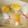 白いぐれーぷ's cooksnap of when they made お弁当のずぼら栗きんとん♪.