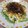 ryok2223's cooksnap of when they made ミモザサラダ揚げネギ添え.