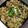 ポヨちママ's cooksnap of when they made ゴボウとツナの炊き込みご飯.