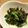 キョロリーヌ's cooksnap of when they made 豆苗とワカメの和え物.