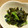 キョロリーヌ's cooksnap of when they made 豆苗とワカメの和え物.