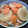 かめちん0v0's cooksnap of when they made がんもどきと大根の煮物.