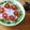 ケコハル's cooksnap of when they made 春雨の中華風サラダ.