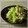 オレンジデイ's cooksnap of when they made せろりの白和え.