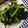 マナブレスト's cooksnap of when they made 簡単！ほうれん草としめじのオリーブ炒め♪.