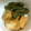 ポリネス's cooksnap of when they made 厚揚げとこんにゃくの煮物.