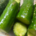 ささッこ's cooksnap of when they made 屋台のきゅうり一本漬け.