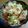 こぐま母's cooksnap of when they made キャベツの生姜風味浅漬け.