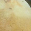 newみかん's cooksnap of when they made レタスときのこの米粉クレープ.