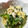 のんのんSTELLA's cooksnap of when they made ほうれん草の卵とじ.