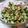 ゴン太フゴ's cooksnap of when they made きゅうりとなすのつまみ　.