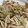 samezame's cooksnap of when they made どっさりきのこのねぎ塩丼.