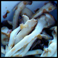 ｋｉｍｕ's cooksnap of when they made さにパンの簡単おかず★エリンギの梅和え★.
