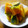 元気虫's cooksnap of when they made 簡単♪かぼちゃの煮物.