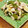 uronn's cooksnap of when they made 茎わかめと豚肉の塩炒め.