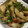まろんクン's cooksnap of when they made ちくわとピーマンの塩糀チーズ炒め.