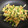 だねるぎ's cooksnap of when they made ねぎとあぶらあげの味噌いため.