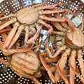 ニコニコ笑顔's cooksnap of when they made 実はカンタン！旬のセイコ蟹の蒸し方！.