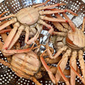 ニコニコ笑顔's cooksnap of when they made 実はカンタン！旬のセイコ蟹の蒸し方！.