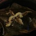 醤油とんこつ's cooksnap of when they made 15分でカレイの煮付け♡.