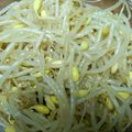 ぴっぴ君's cooksnap of when they made レンジで簡単！もやしのナムル.