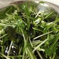 爪の短いネイリスト's cooksnap of when they made 韓国風 チョレギサラダ.