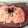 ★みっちっち★'s cooksnap of when they made キャベツのタラコ入卵巻きとんぺい風.