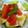 KAN37's cooksnap of when they made トマトと豆腐のカプレーゼ風.