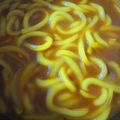 Ｍぱん's cooksnap of when they made お蕎麦屋さん風カレーうどん☆彡.