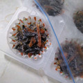 zakkiiM's cooksnap of when they made ※エコ生活※冷凍トレー再利用◆冷凍ひじき.