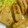 とて虫's cooksnap of when they made サックサク☆れんこんの挟み揚げ♪.