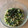 みぽりん39's cooksnap of when they made 小松菜としらすのふりかけ.
