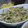 天野優花's cooksnap of when they made きゅうりともやしの中華サラダ.
