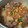 ミクさんマジ天使's cooksnap of when they made すき焼きのタレでつくるほくほく♪肉じゃが.