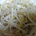 yu-みん's cooksnap of when they made 焼肉屋さんに教わった“もやしのナムル”.