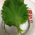 yoshirenji's cooksnap of when they made ＊大葉の保存方法＊.