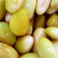 まぐきち's cooksnap of when they made 秘伝豆.