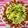 るらちゃん's cooksnap of when they made ♥ウインナーでピザ♥.