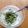 くろまめこ97's cooksnap of when they made ☆抹茶ヨーグルト☆.