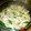ぐり0710's cooksnap of when they made 簡単！わけぎと豚肉の酒蒸し.