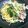 なっちズム's cooksnap of when they made 浅利とホウレン草のクリーム　スパゲティ.