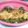 lyennes's cooksnap of when they made シリコンスチーマーで鮭のちゃんちゃん焼き.