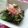 viancaa's cooksnap of when they made 菜の花の塩昆布和え ごま油風味.･*.