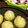 yukachin29's cooksnap of when they made うちのたこ焼き.
