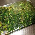 ちーくんさん's cooksnap of when they made 簡単常備★大根葉ふりかけ.